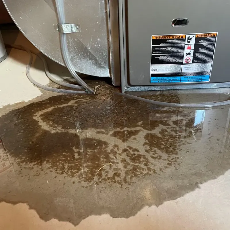 Pipe Burst and Leak Restoration in Peoria, AZ